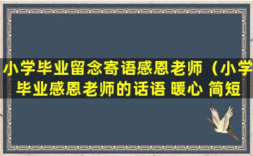 小学毕业留念寄语感恩老师（小学毕业感恩老师的话语 暖心 简短）